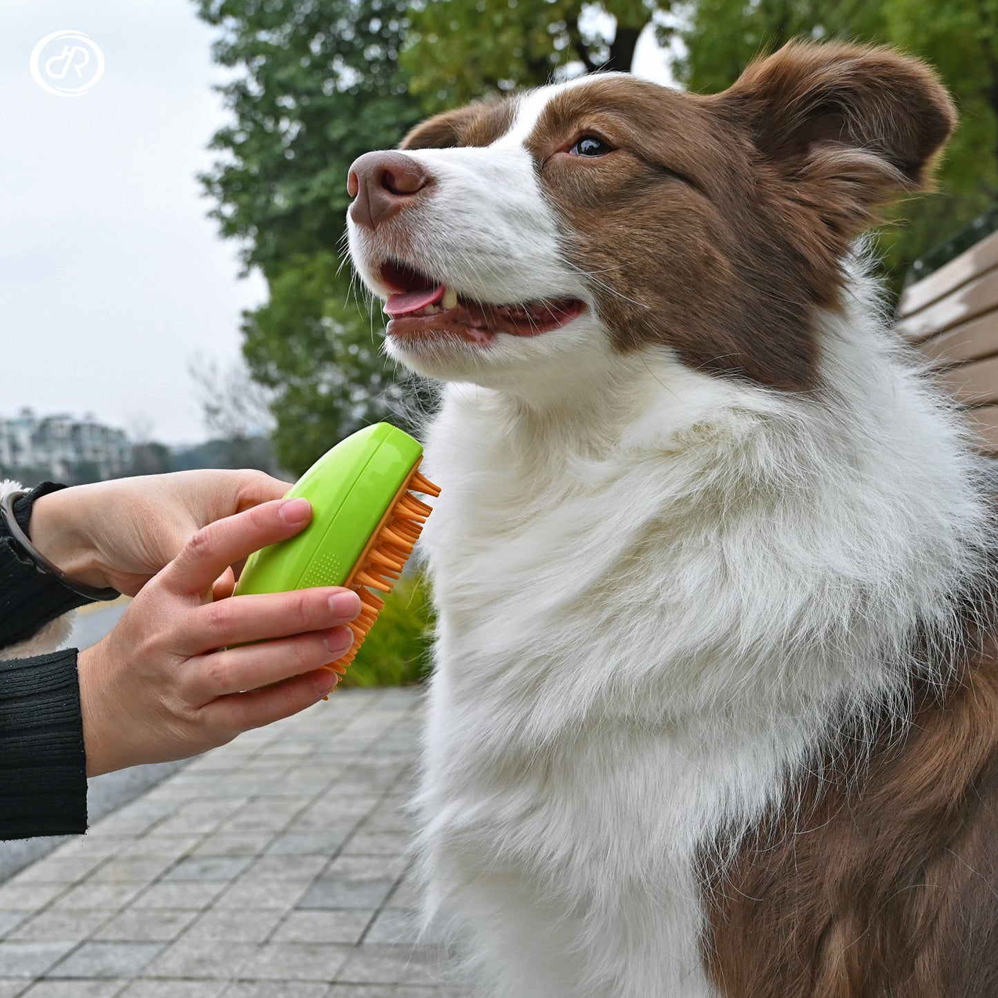 Cepillo Mascotas  Vaporizador 3 En 1